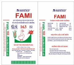 FAMI 163