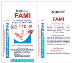 FAMI 172
