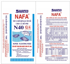 N40