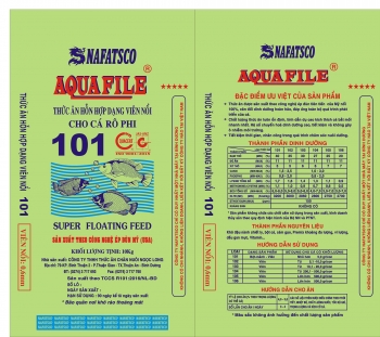 101/0.6
