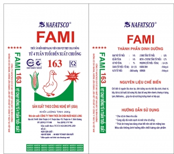 FAMI 163