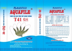 T41*02