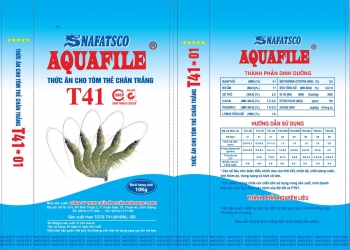 T41*01