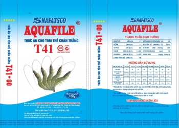 T41*00